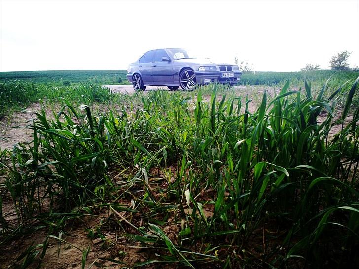 BMW e36 320 i solgt billede 5