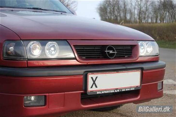 Opel vectra 4x4 580 hk billede 5