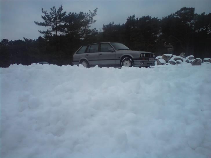 BMW E30 Touring billede 7