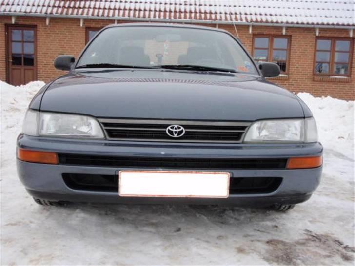 Toyota Corolla CHAMP - nylakeret kofanger billede 13
