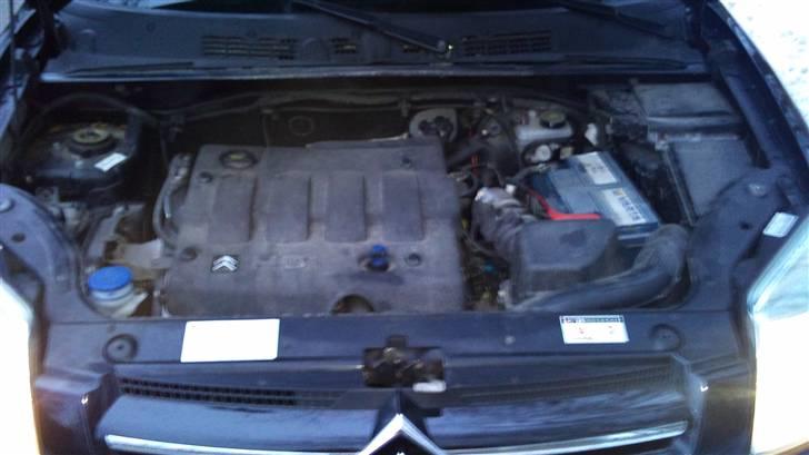 Citroën Berlingo billede 5