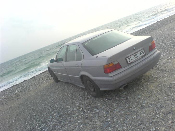BMW E36 billede 2