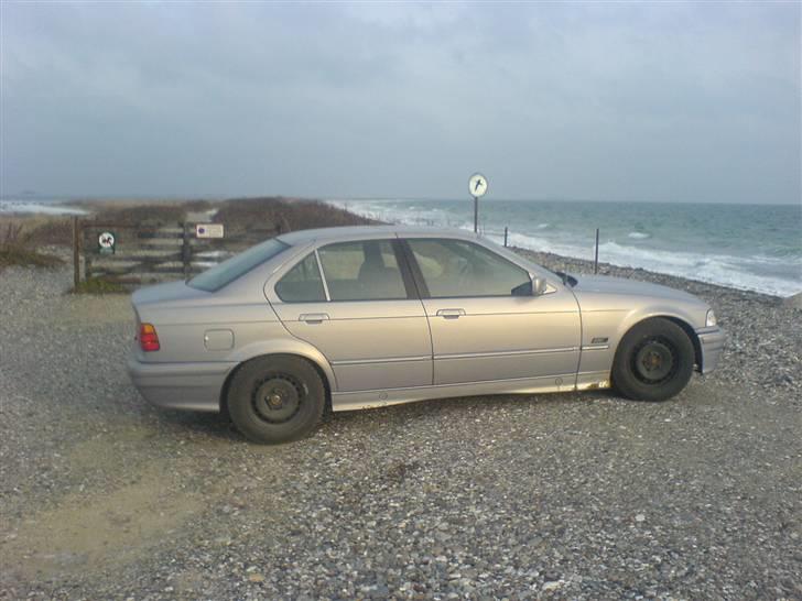 BMW E36 billede 3