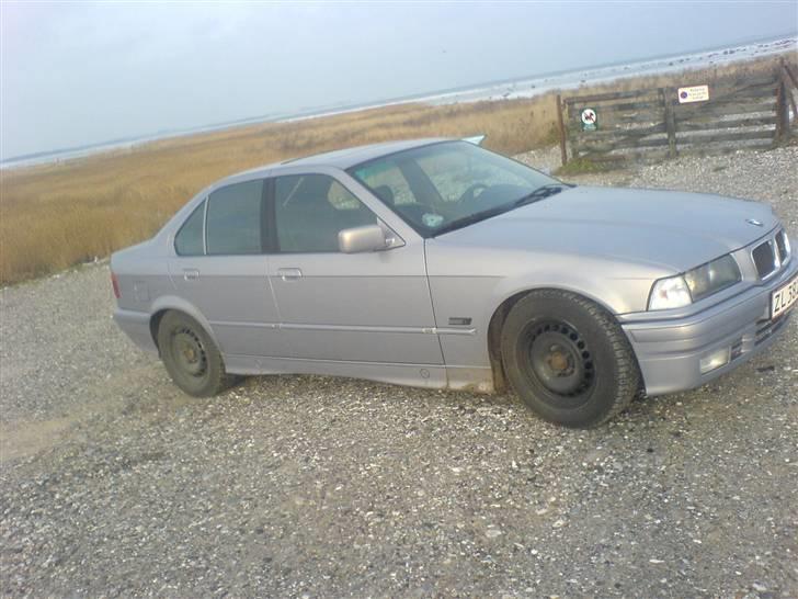 BMW E36 billede 4