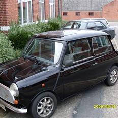 Austin-Morris Mascot  1,0