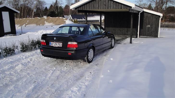 BMW 320i/325i billede 7