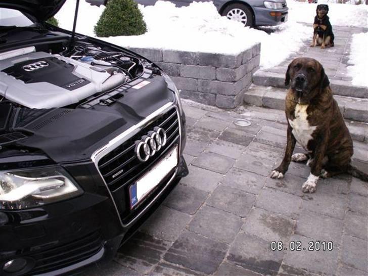 Audi A4 3,0 TDI 240 Quattro - De to "barbérblade" der passer på bilen (rigtig godt endda). billede 20