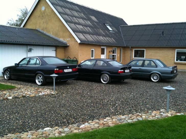 BMW E34 525i - Solgt - e34´eren - Morten J´s tidligere e36 - Jess L´s e30. billede 11