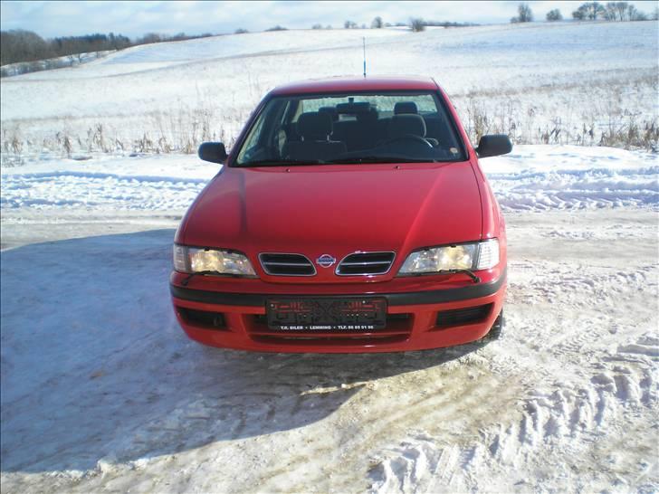 Nissan Primera GX 1,6 16v billede 3