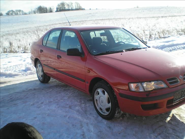Nissan Primera GX 1,6 16v billede 4