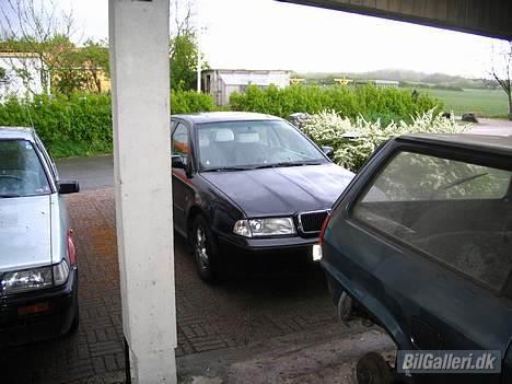 Skoda Octavia Turbo - Bemærk min Polo foran  billede 5