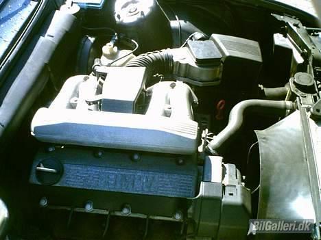 BMW 318i E30 *Solgt* - Ik så stor som de andre.. men mere omdrejningsvillig. billede 8