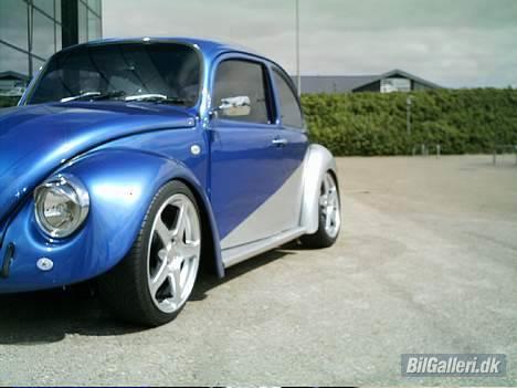 VW Bobbel billede 2