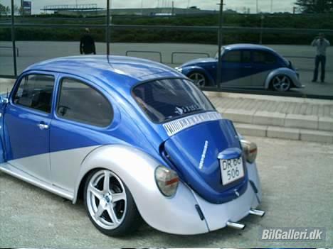 VW Bobbel billede 6