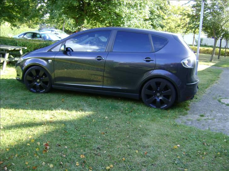 Seat Altea billede 10