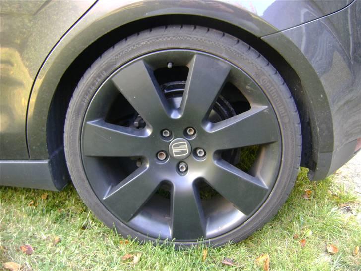 Seat Altea billede 11