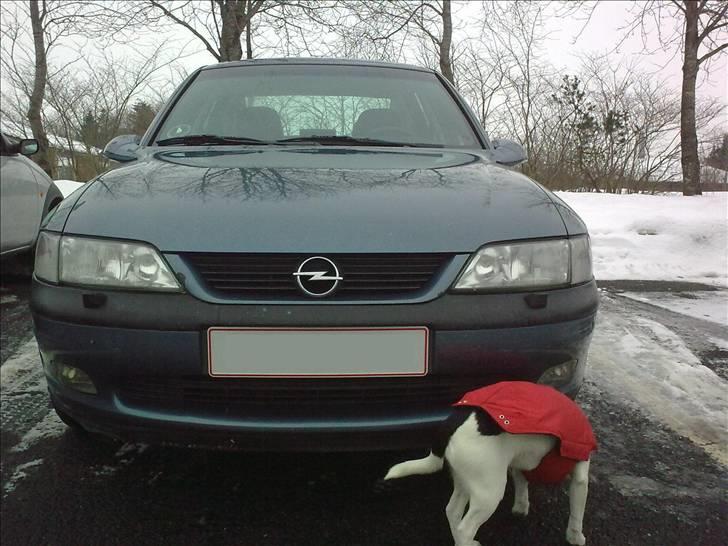 Opel Vectra B *solgt* billede 9