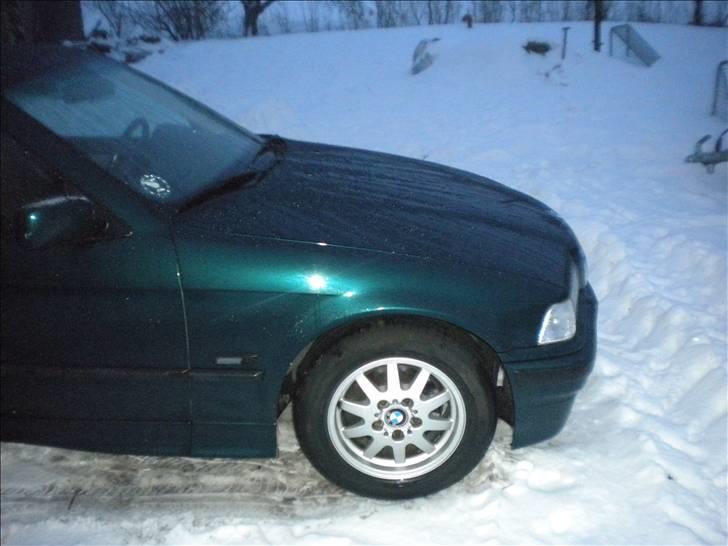 BMW 318TI Compact billede 5