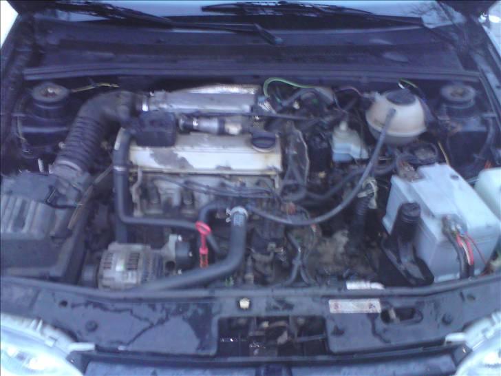 VW Golf 3 2.0 GTI Cabriolet billede 8