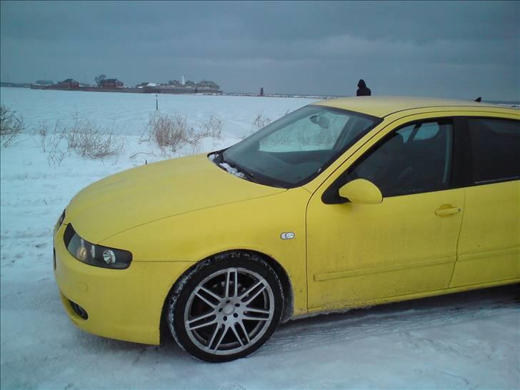 Seat leon 1,8 20V top sport billede 6