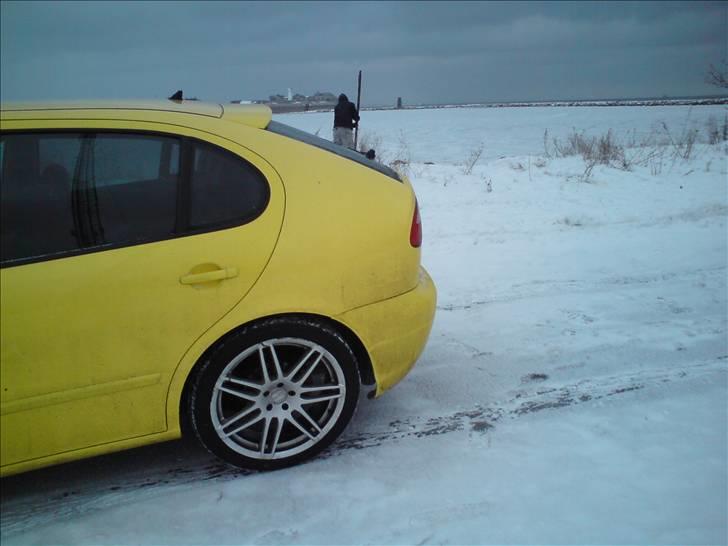 Seat leon 1,8 20V top sport billede 7