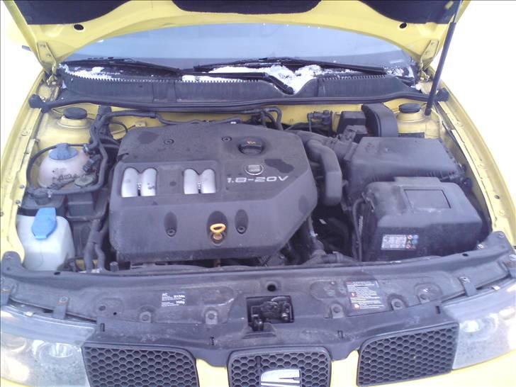 Seat leon 1,8 20V top sport billede 11