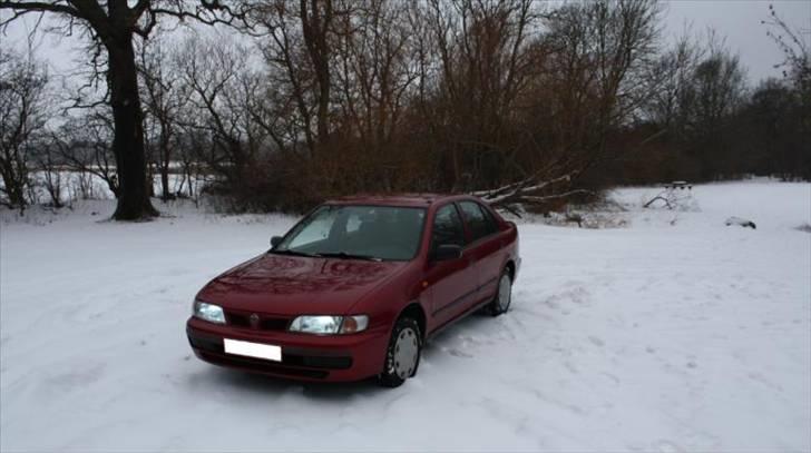 Nissan Almera billede 1