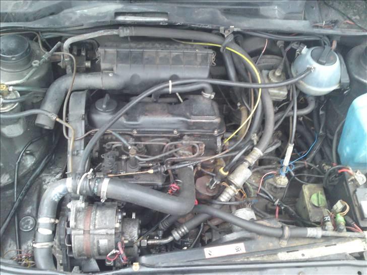 VW golf 2 til salg billede 7