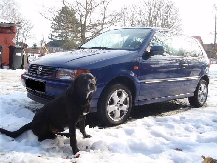 VW Polo 1.6 billede 1