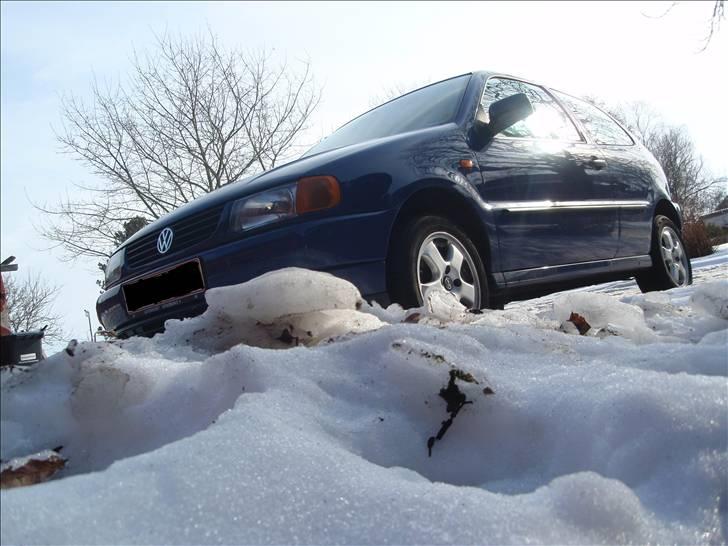 VW Polo 1.6 billede 3