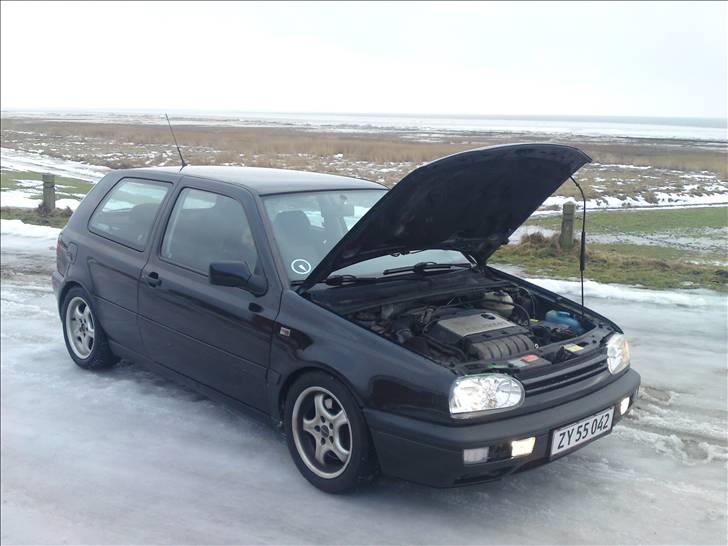 VW Golf III 2.9L VR6 - den gamle kværn. billede 12