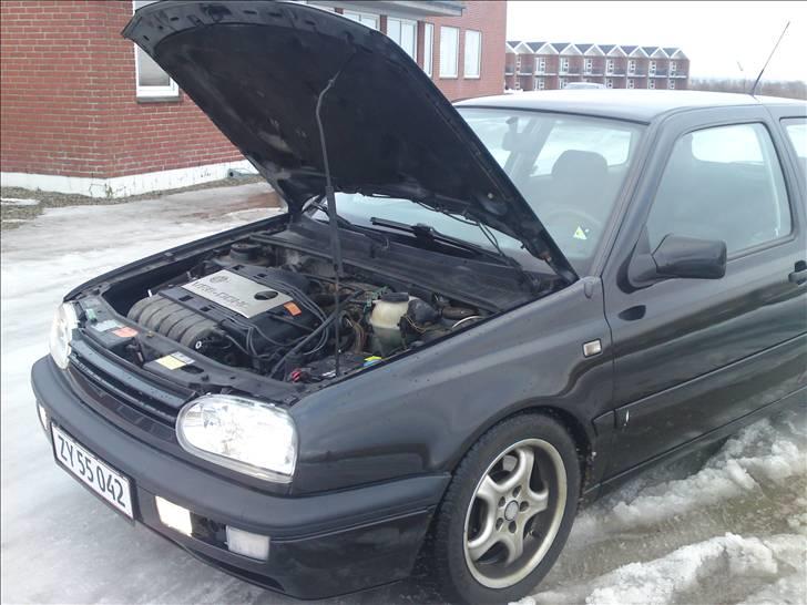 VW Golf III 2.9L VR6 - den gamle kværn. billede 15