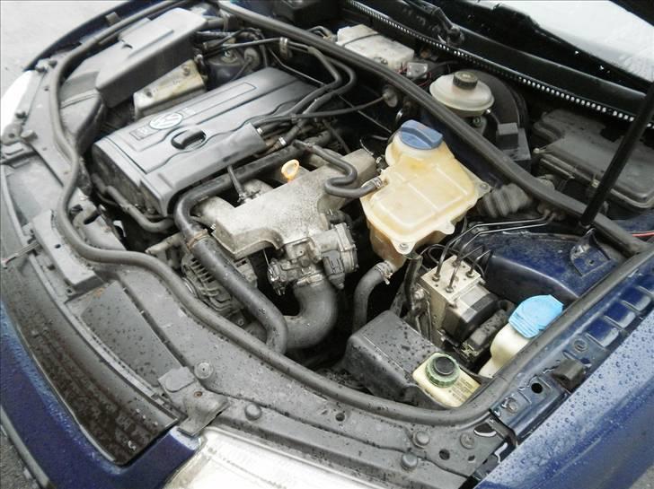 VW passat 3b billede 12