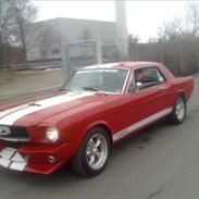 Ford Mustang-289 v8