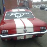 Ford Mustang-289 v8