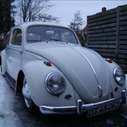 VW Bobbel