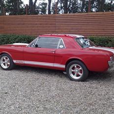 Ford Mustang-289 v8