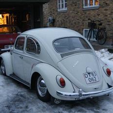 VW Bobbel
