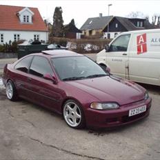 Honda CIVIC COUPE "SOLGT"