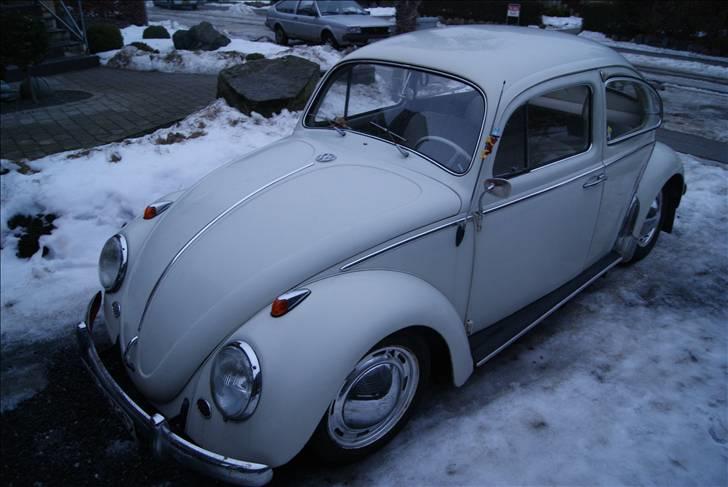 VW Bobbel billede 4