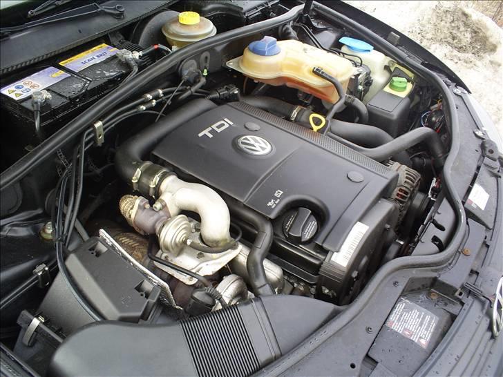 VW passat 3b stc billede 10