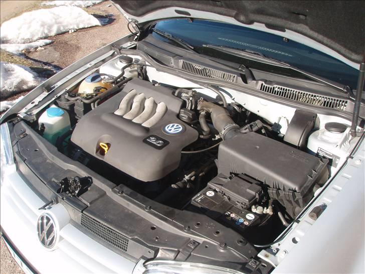 VW Golf 4 2.0 8v R.I.P. billede 16