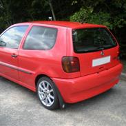 VW Polo 6N - SOLGT
