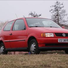VW Polo 6N *SKROTTET*