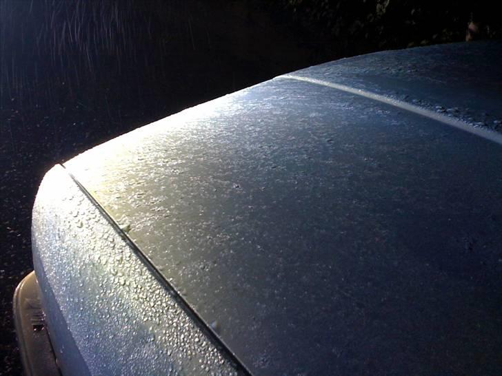 BMW 320i *SOLGT* billede 2