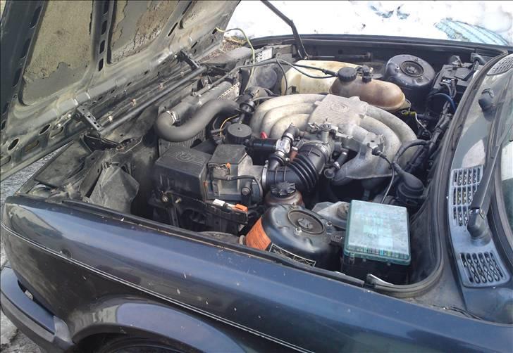 BMW E30 320/325i SOLGT billede 6