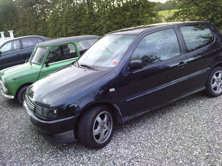 VW Polo 6N SOLGT - mine 2 biler :) billede 1