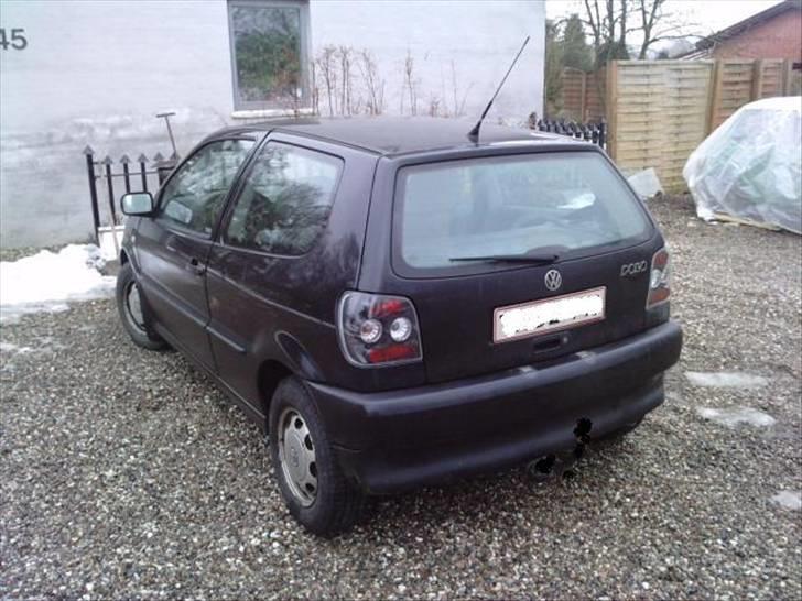 VW Polo 6N SOLGT billede 6