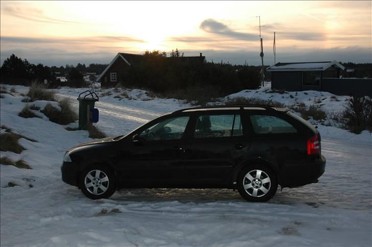 Skoda Octavia Combi Elegance - Ved sommerhuset i solnedgang billede 2