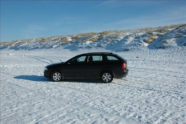 Skoda Octavia Combi Elegance - Ved Vesterhavet billede 3